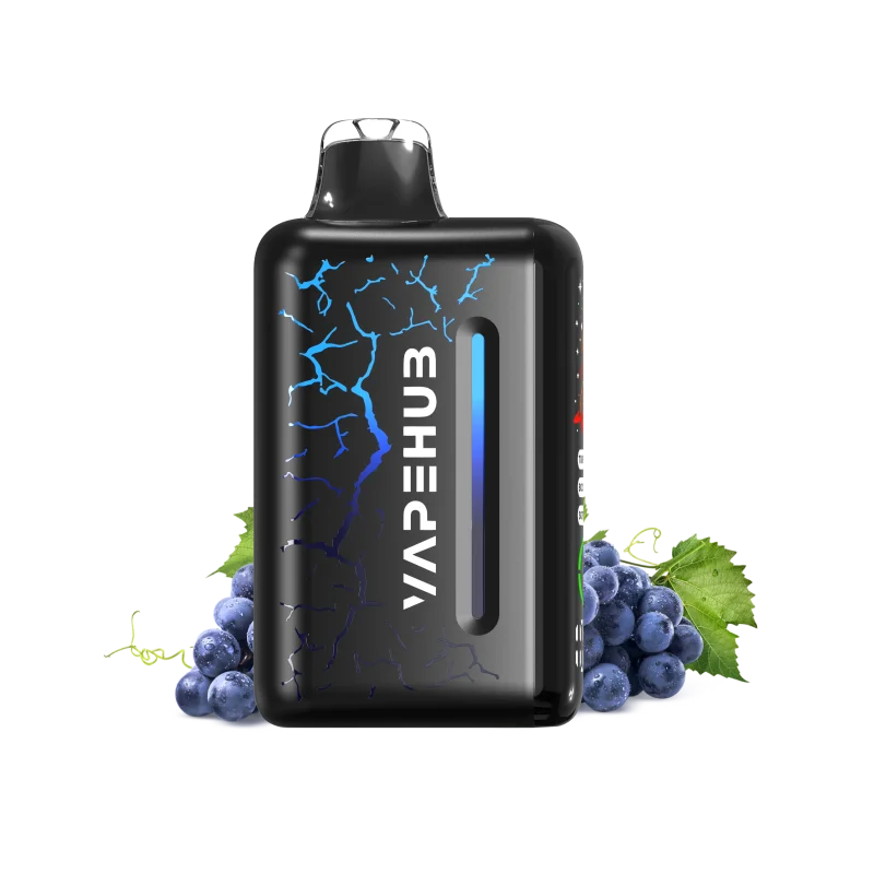 Blueberry Blast Storm – VAPEHUB ULTRA 20000
