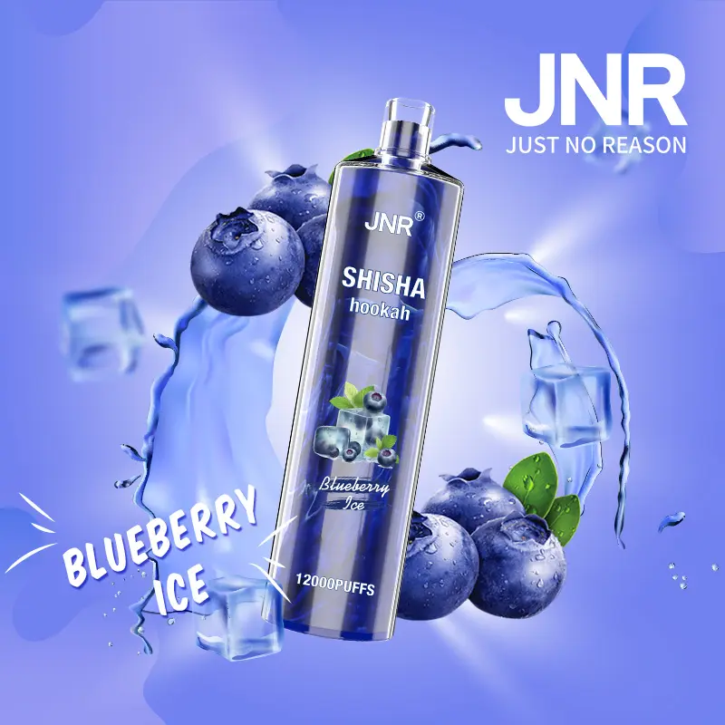 JNR Shisha Hookah – Blueberry Mint 12,000 – AusVape Direct